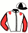 Casaque du jockey de Villeneuf