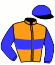 Casaque du jockey de Sea Sapphire