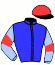 Casaque du jockey de Winning Champion