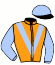 Casaque du jockey de Sparkle And Gold