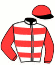 Casaque du jockey de Falcon Court