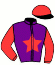 Casaque du jockey de Châteauneuf