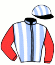 Casaque du jockey de Lakeshore Hero