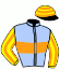 Casaque du jockey de Ka Ying Resilience