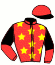Casaque du jockey de Handsome Blond
