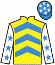 Casaque du jockey de Celestial Patch