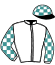Casaque du jockey de Freyja