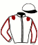 Casaque du jockey de Jazzy Jane