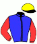 Casaque du jockey de Karin