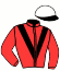 Casaque du jockey de Radegonde