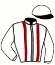 Casaque du jockey de Petra S Fortuna