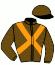 Casaque du jockey de Girl De Chenu