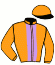 Casaque du jockey de Fangio De Karmel