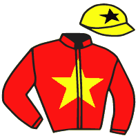 Casaque du jockey de Caligramme