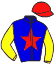 Casaque du jockey de Jungle Sea
