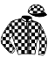 Casaque du jockey de Viola