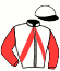 Casaque du jockey de Fusain