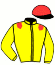 Casaque du jockey de Premiere Etoile