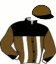 Casaque du jockey de Holcombe Zet