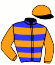 Casaque du jockey de High Kite