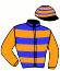 Casaque du jockey de Madeleine Flevo