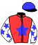Casaque du jockey de Waldlady