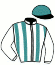 Casaque du jockey de Eagle View