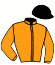 Casaque du jockey de Bali Moon