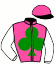 Casaque du jockey de Follow The Sun