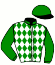 Casaque du jockey de Fly Like Wind