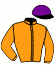 Casaque du jockey de Lady Blitey