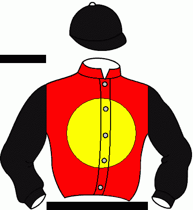Casaque du jockey de Badr Ennasr