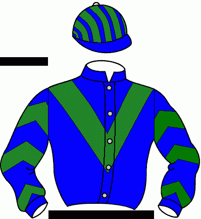 Casaque du jockey de Hassani Bsk