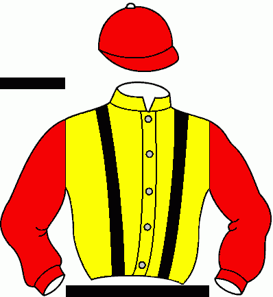 Casaque du jockey de Rene De Zemmour