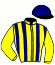 Casaque du jockey de Herthink