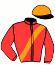 Casaque du jockey de Derby Winner