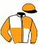 Casaque du jockey de Warsow