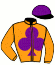 Casaque du jockey de Blue Rhythm