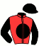 Casaque du jockey de Sancy