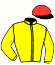Casaque du jockey de Regal Thor