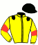 Casaque du jockey de Pelinegra