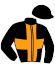 Casaque du jockey de Ya Silio