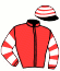 Casaque du jockey de Dia De Luz