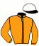 Casaque du jockey de Alas De Plata