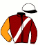 Casaque du jockey de Montecristo