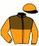 Casaque du jockey de Gipsy Vanner