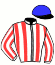 Casaque du jockey de Bergerac