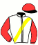 Casaque du jockey de American Bunny