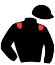 Casaque du jockey de Inyan Mo