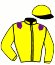 Casaque du jockey de Power Rocket Girl